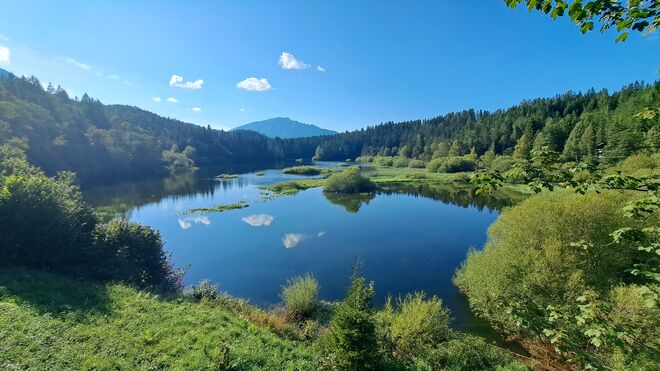 Blick über den Erlaufstausee