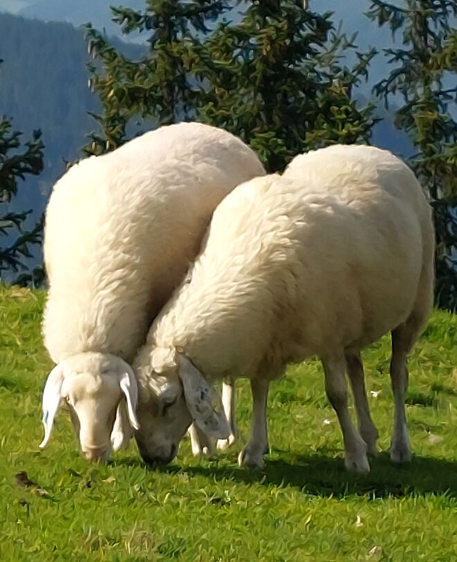 Bei dir schmeckt's  mir am besten!