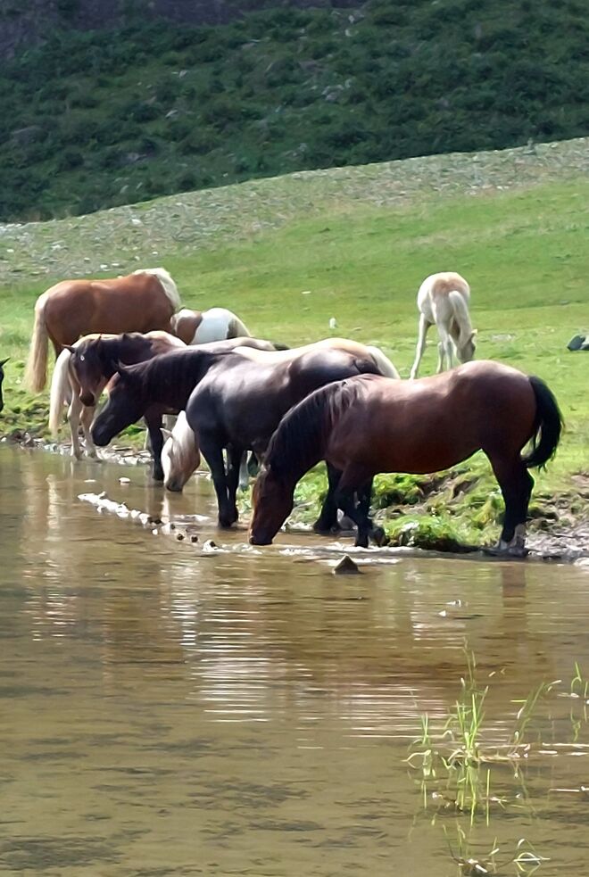 Wasser ist Leben