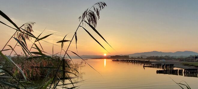 Sonnenaufgang am Wallersee