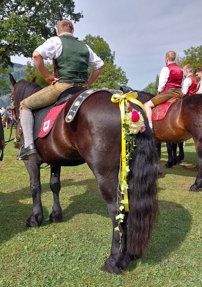 Auf der Festwiese