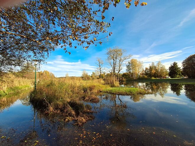 Herbststimmung im Naturschutzgebiet am Obertrumer See