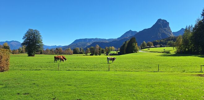 Kaiserwetter