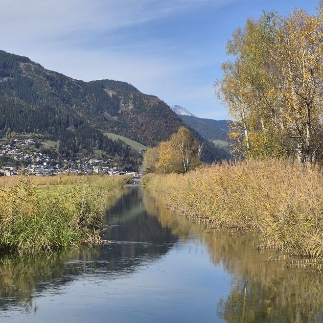 Herbstliches am Zellersee
