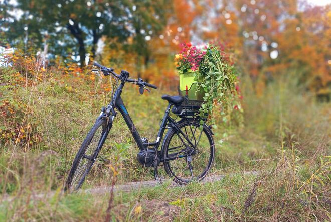Den Herbst eingesammelt.....