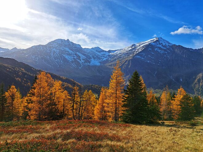 Herbst 2024
