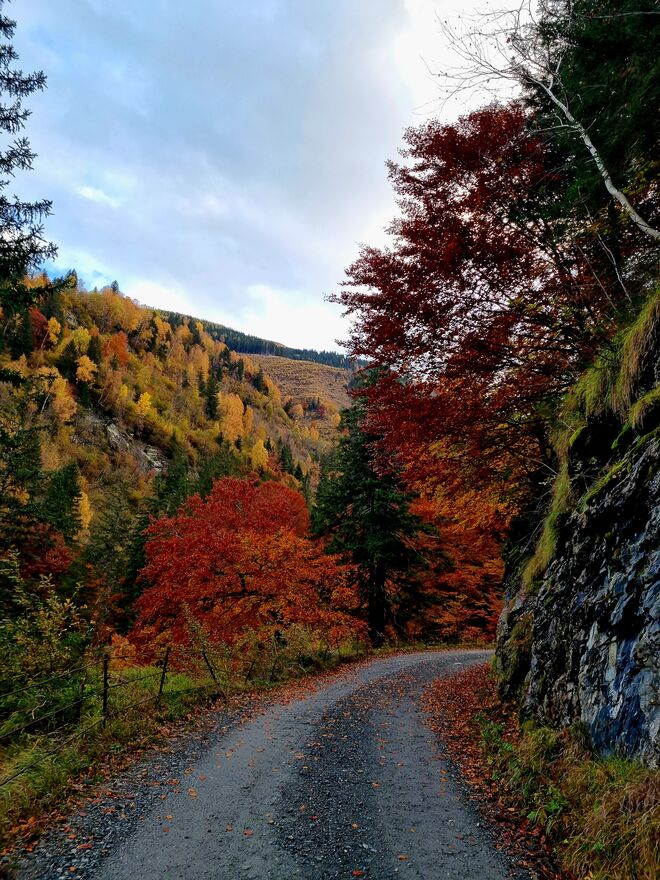 Sulzbachtal