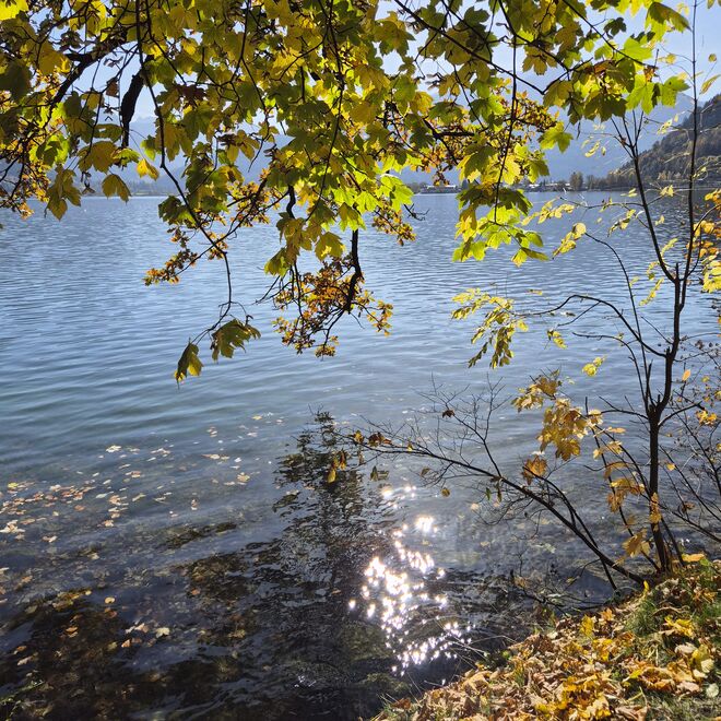 Herbstliches glitzern am Zellersee...