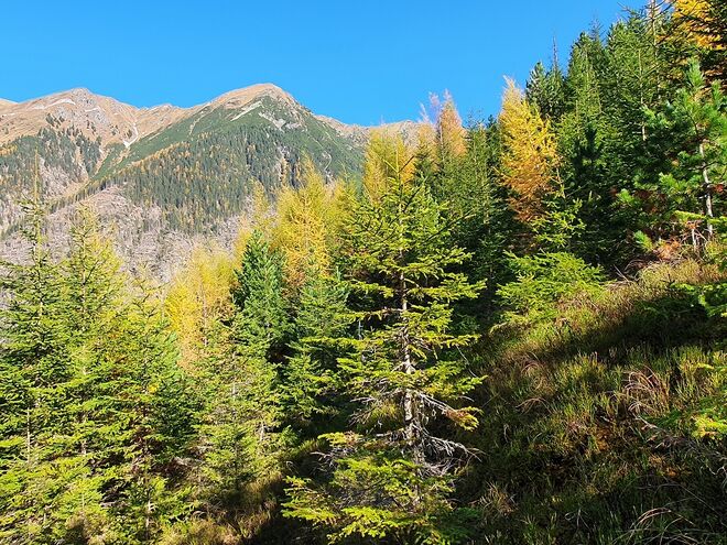Goldener Herbsttag