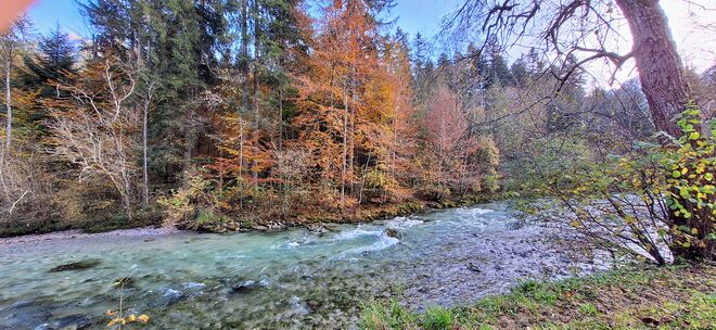 Klares Wasser