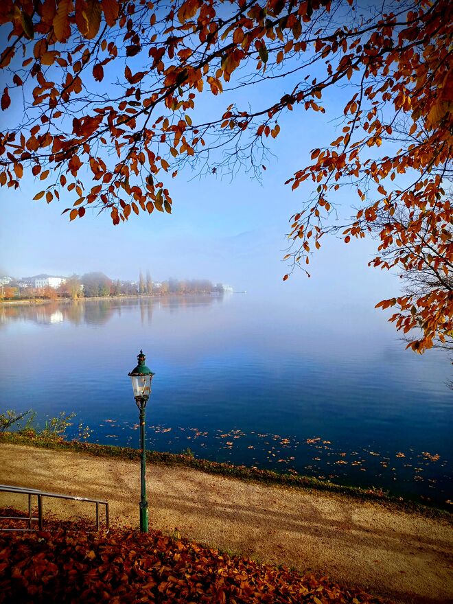 Morgenstimmung am Zeller See