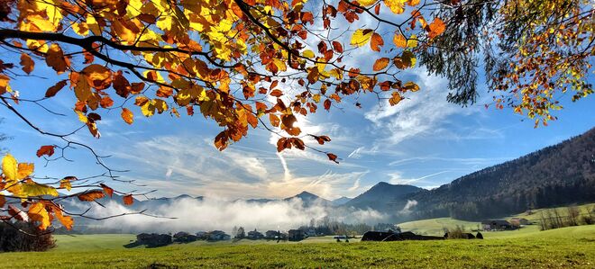 Goldener Herbst