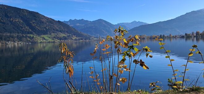 Herbsttag am See