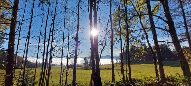 Herbstsonne