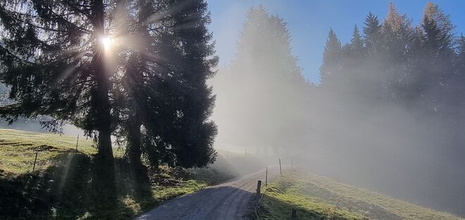 Mystischer Morgen