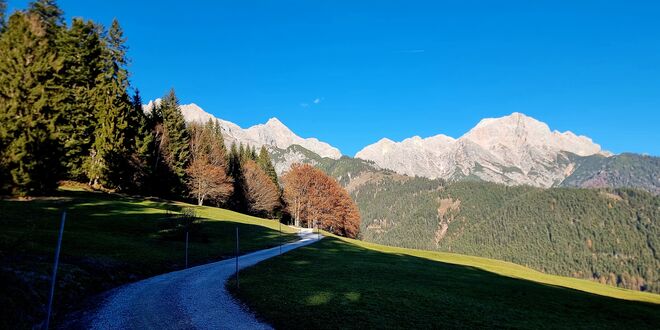 Licht & Schatten