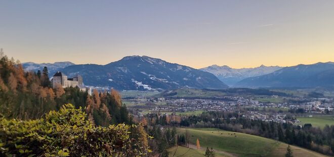 Palfenblick