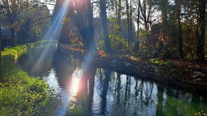 Am Almkanal