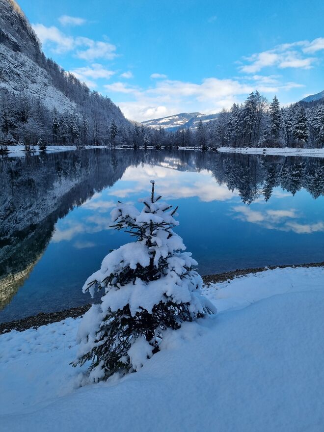 Winterwonderland