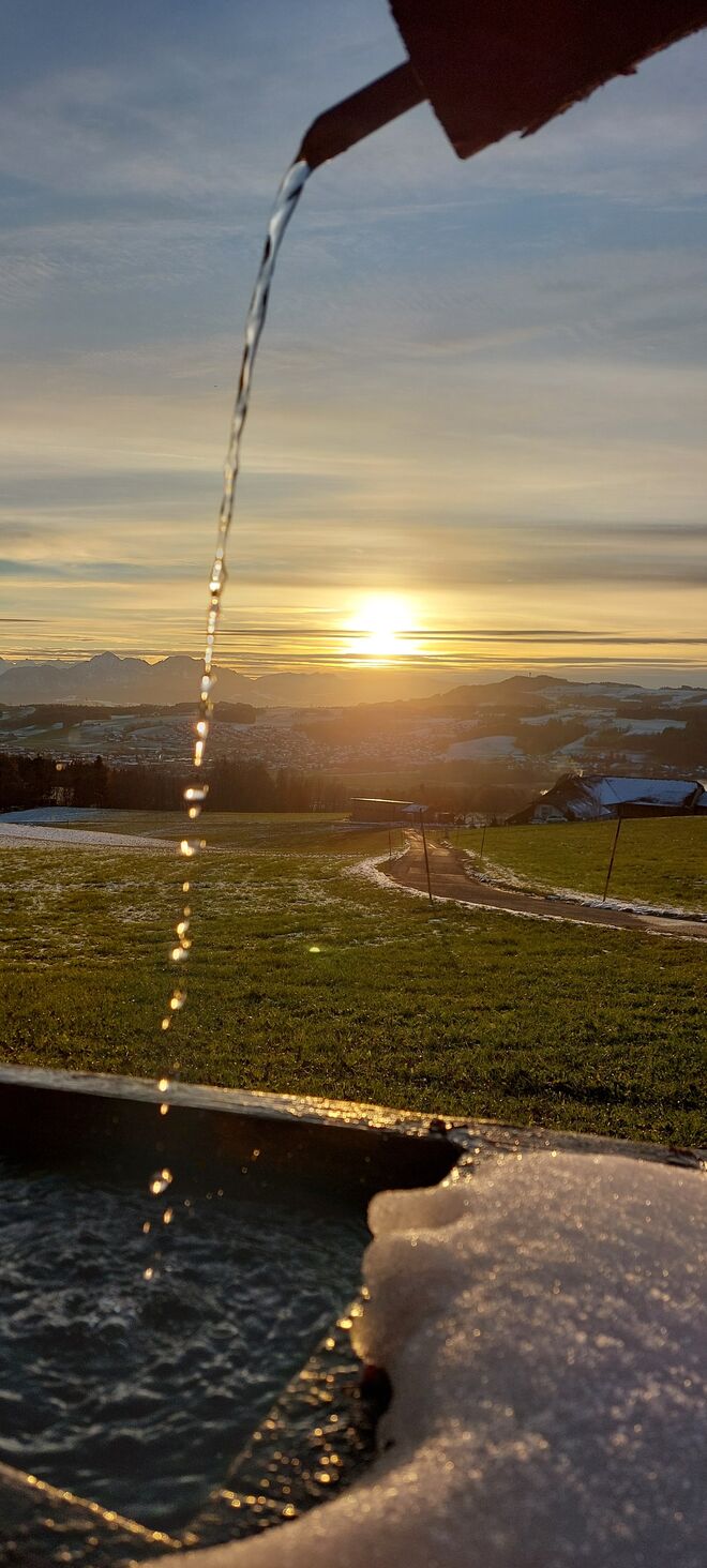 Abendstimmung