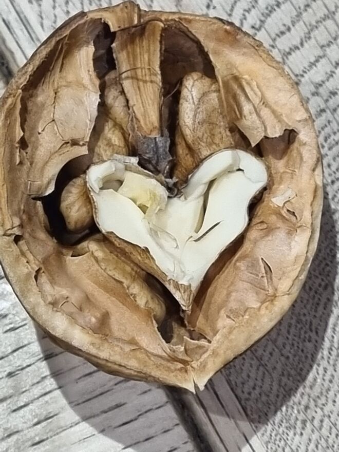 Hart aber herzlich