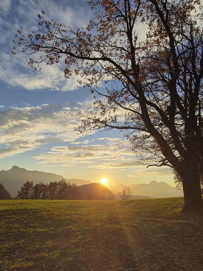 Novembersonne...