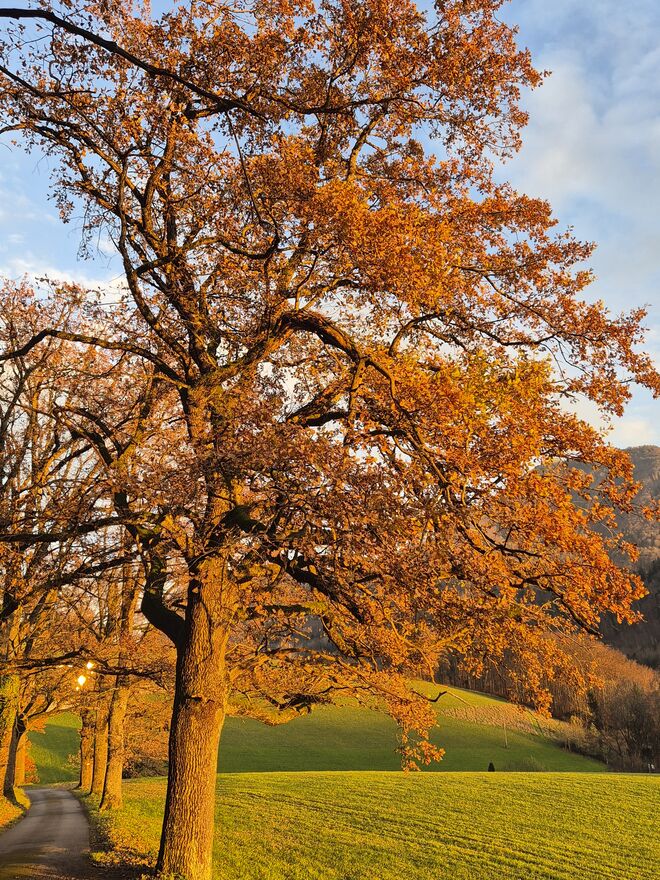 Noch Herbst...