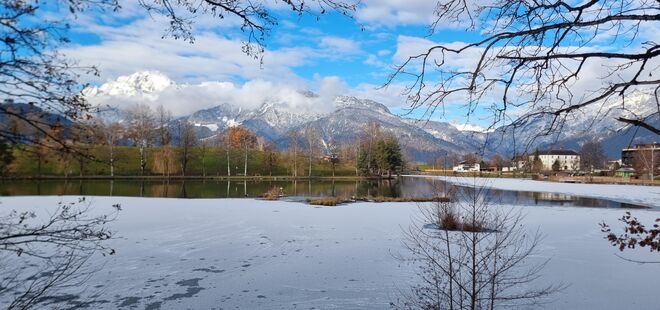 Halbe halbe"