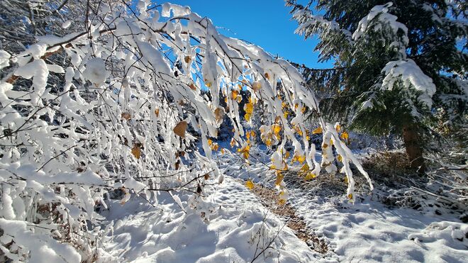 Winterwanderung