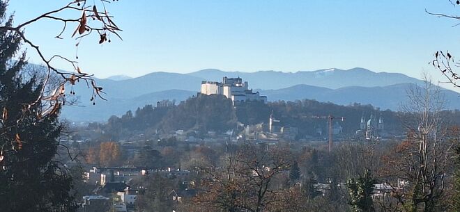 Stadtblick