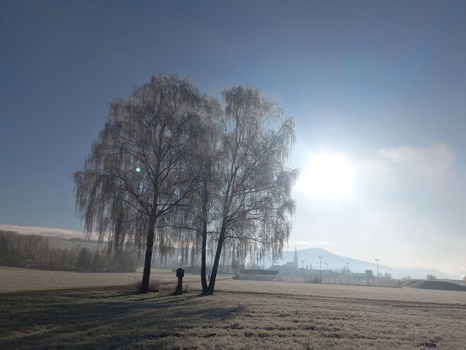 Ein Dezembermorgen!