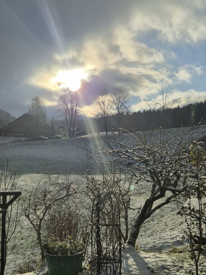 Wintermorgen...