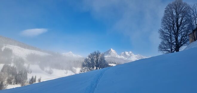 Mystische Winterlandschaft