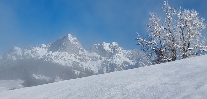 Mystischer Wintertag