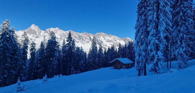 Licht & Schatten