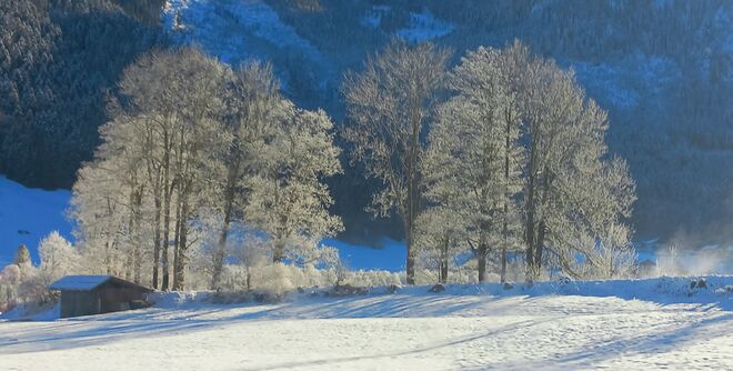 Adventmorgen....