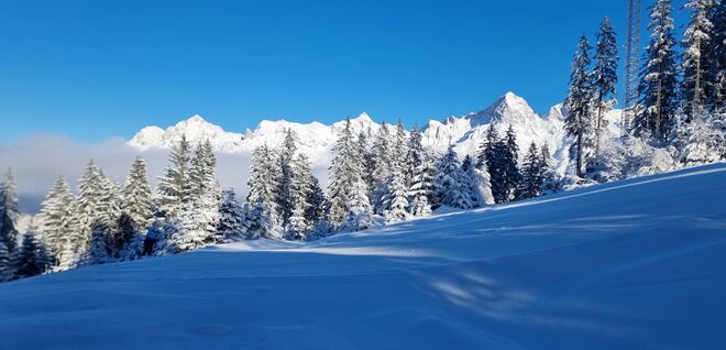 Winterwonderland