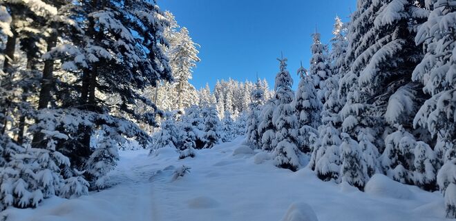 Winterwunderland
