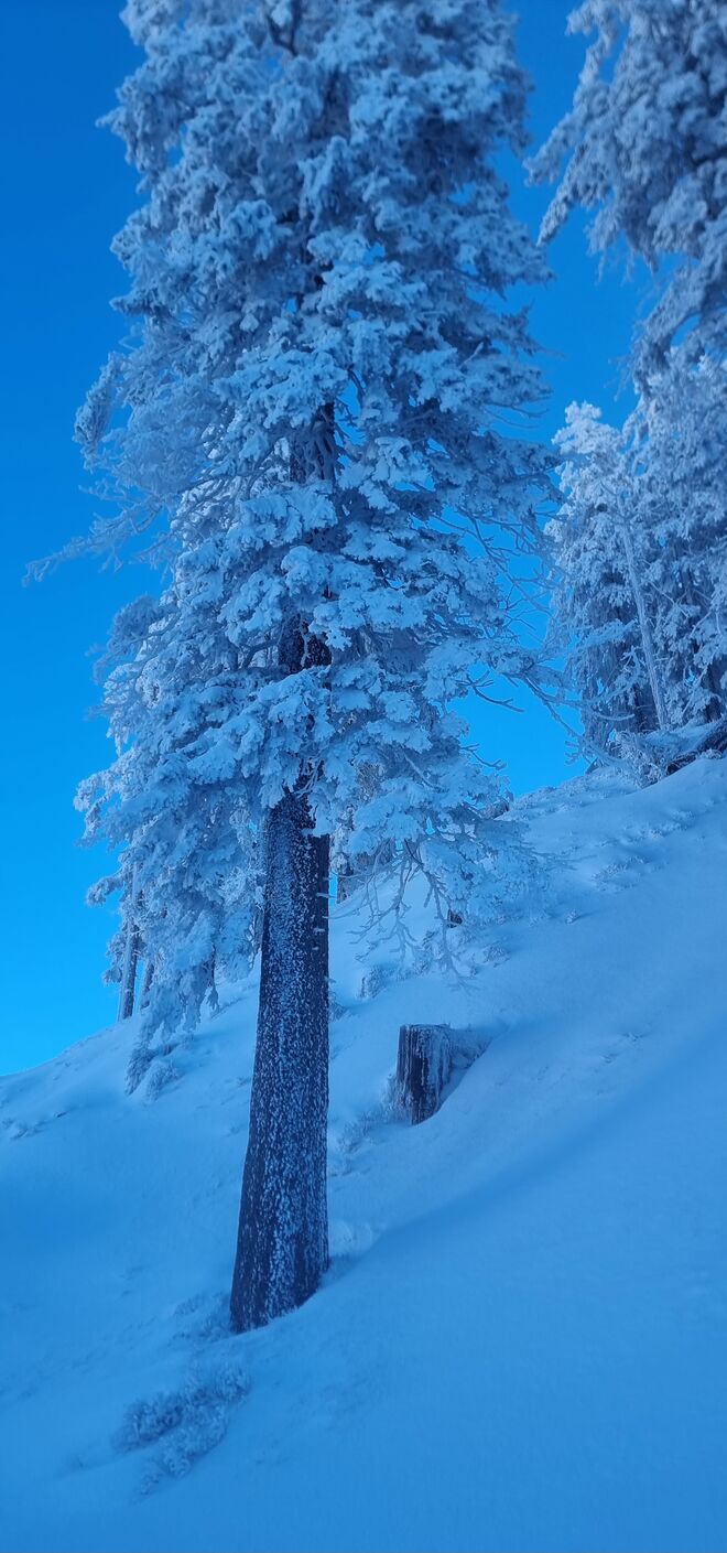 Winterzauber