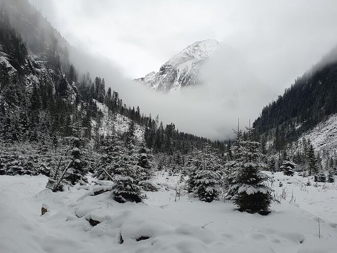 Winterruhe