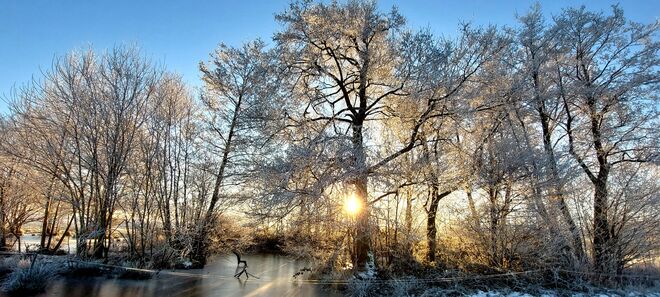 Wintermorgen