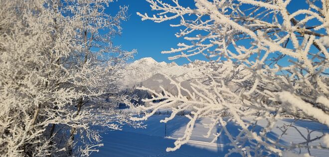 Faszination Schneekristalle
