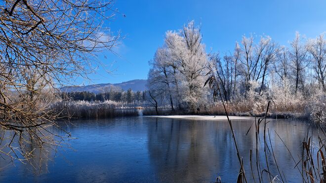 Frostigen Morgen