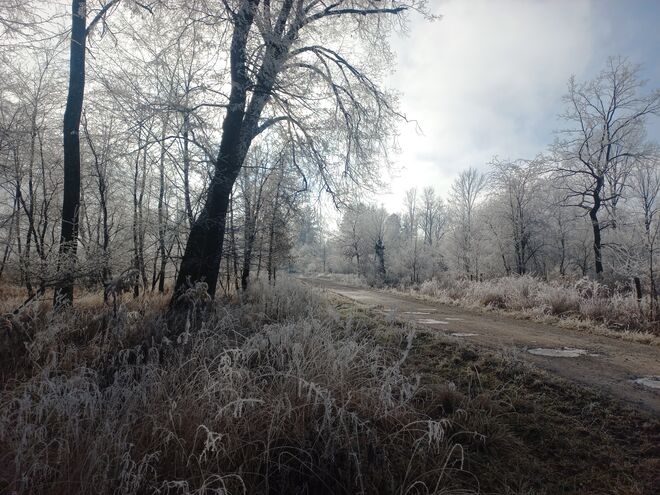 Winter ist's.....