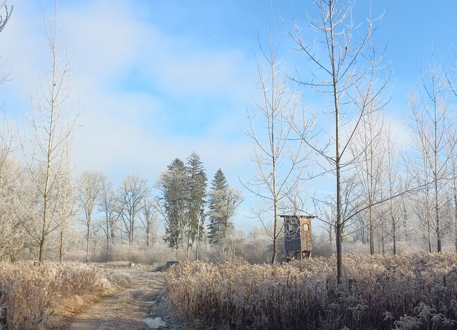 Winter in Pastell .....