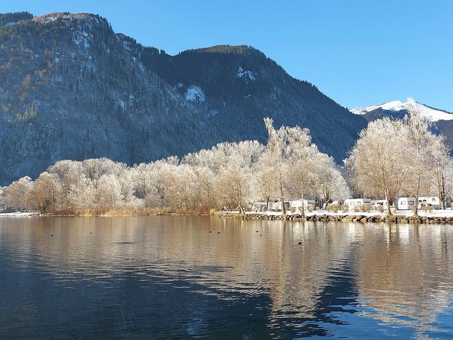 Der Frost lässt die Bäume blühen!