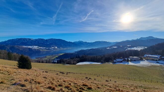 Der Attersee vom Reither Gupf