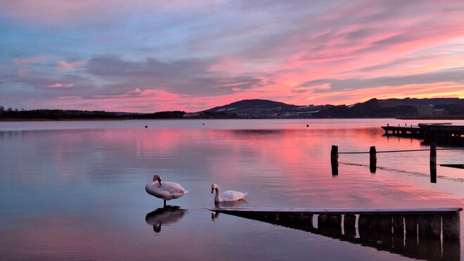 ...himmlisch am Wallersee