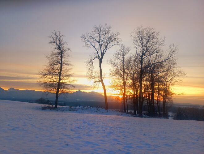 Winterabend