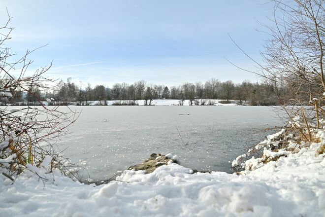 Winter am Salzachsee
